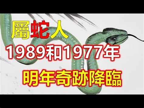 1989年是什麼蛇